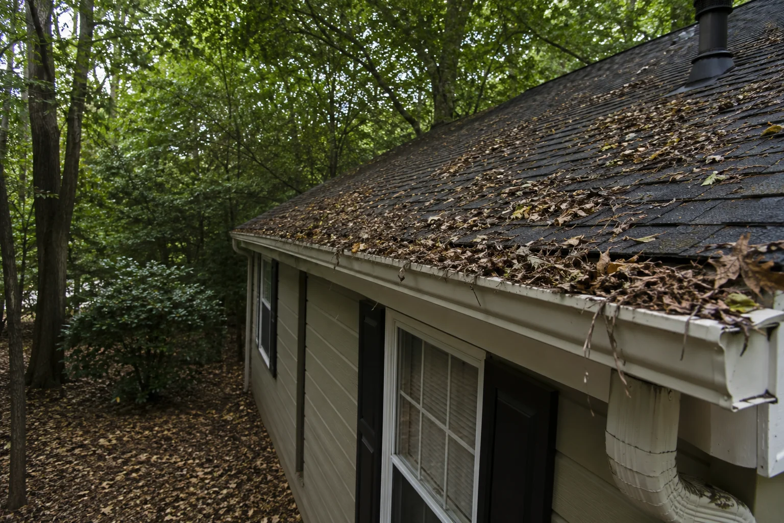 Lakewood-Forest-Heavy-Tree-Gutters-Before Lakewood-Forest-Heavy-Tree-Gutters-Before