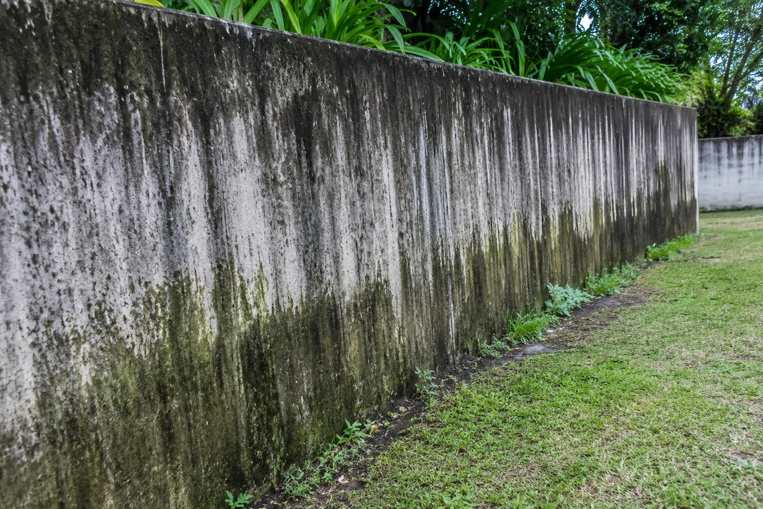 Stone-Gate-Concrete-Wall-Before